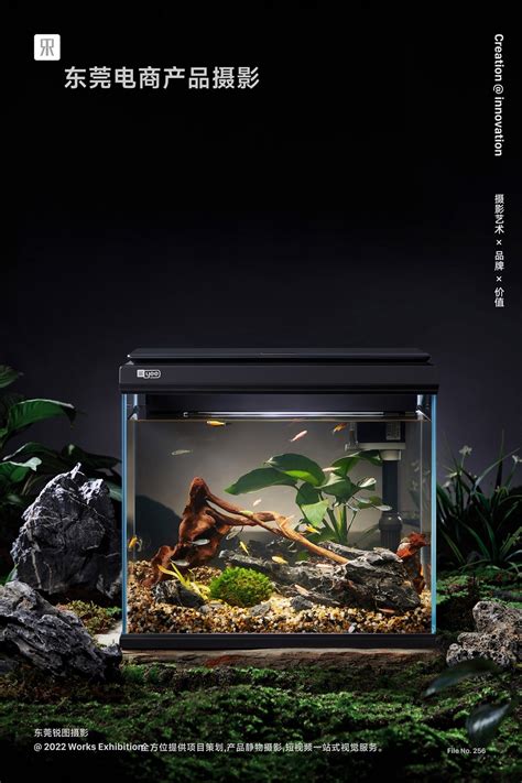 草木造景鱼缸产品摄影-东莞产品片策划拍摄-CND设计网,中国设计网络首选品牌