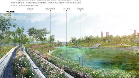 柳州芭公塘湿地公园设计方案-优80设计空间