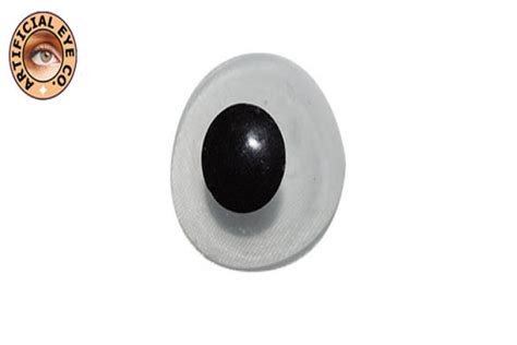 Customised Artificial Eye Prosthesis - Why