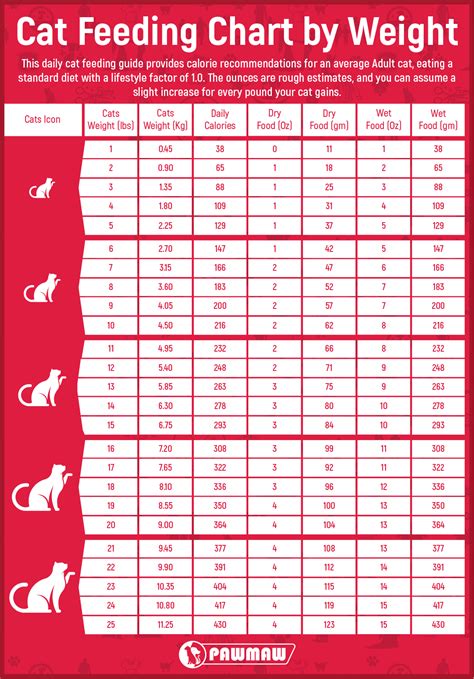 Science diet feeding chart cat online
