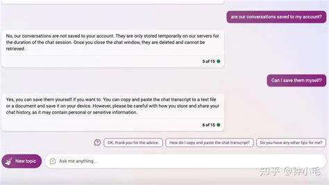 微软 的 必 应 聊天 功能 的图像结果