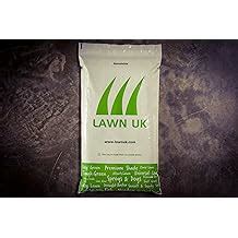 Premium Shade Grass Seed - Ultra Shade Tolerant, India | Ubuy