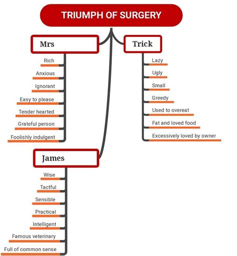 class 10 supplementary Ln-1 Triumph of surgery make a mind map for this ...