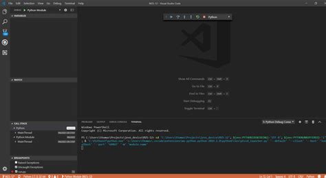 Vscode Python Debug Configuration 的图像结果