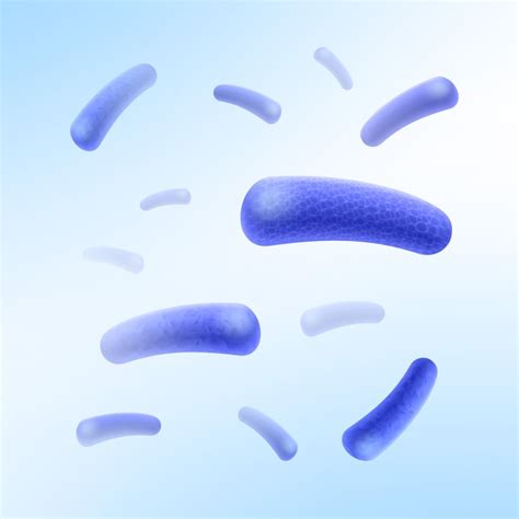 Bacteria Vectors - Download Free High-Quality Vectors from Freepik ...