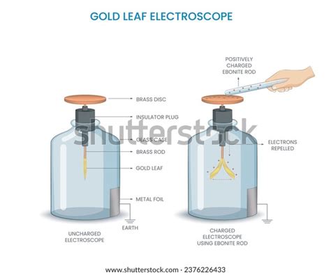 Image result for Static Electricity Electroscope