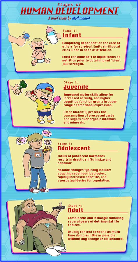 Image result for Human Development Stages Chart