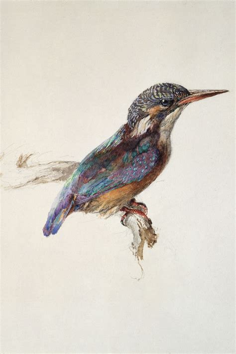 John Ruskin: Artist and Observer | Meer