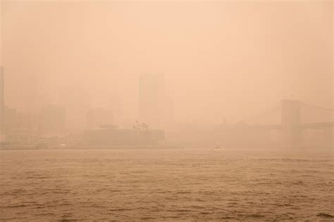 Image result for Optimum Service Center