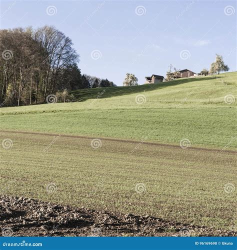 Agriculture in Switzerland stock photo. Image of dirt - 96169698