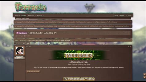 Rezultat imagine pentru Tmodloader Installation