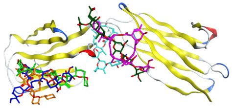 In Silico Analysis of the Multi-Targeted Mode of Action of Ivermectin ...