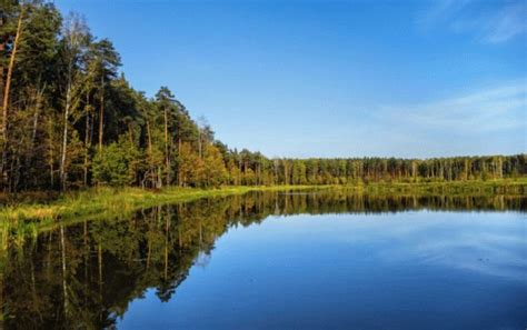 мещерский парк парковка адрес