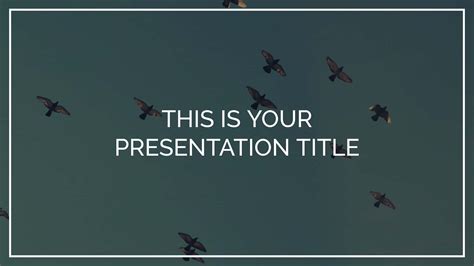 Slides Background 的图像结果