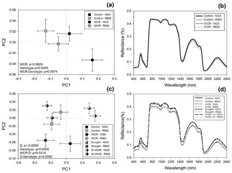 Drought Stress Affects Spectral Separation of Maize Infested by Western ...