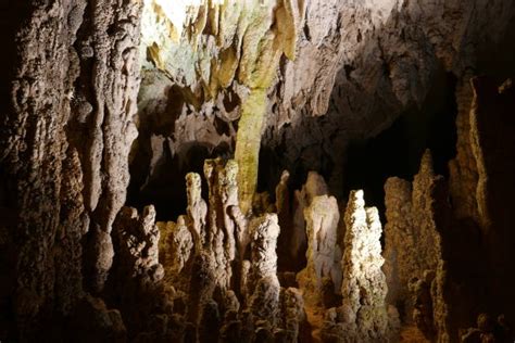 Image result for Most Downloaded