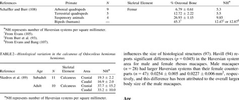 Image result for Locomotor Patterns in Primates