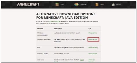Image result for How to Fix Minecraft Corrupted Runtime Problem