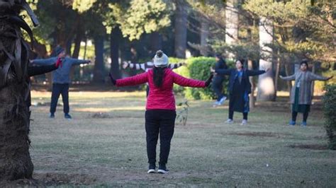 GMDA to develop park based on yogic chakras in Gurugram’s Sector 52 ...