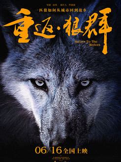 《重返·狼群》已成世界电影奇迹 【影视评论】-凯迪社区