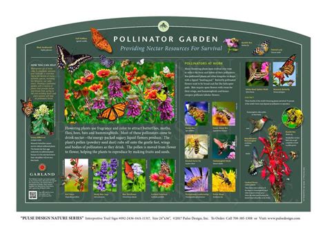 Image result for Insect Pollination Poster