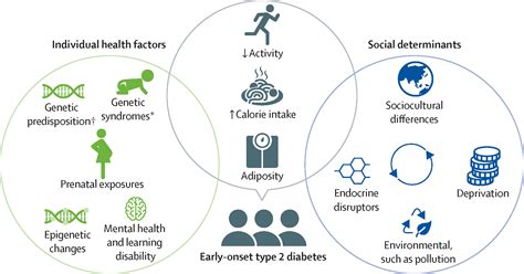 Diabetes Type 2 Current Insights And Emerging Trends In Early Onset