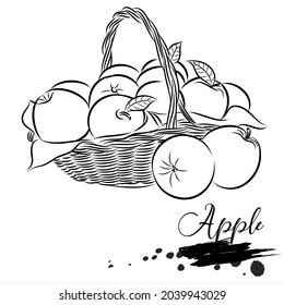 Image result for Apple Line Vector