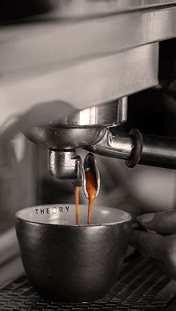 Theory Cafe : About Us