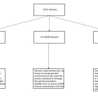 Image result for Feature Program Red Variant