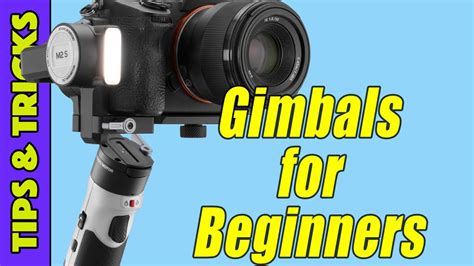 Gimbal Tutorial 的图像结果