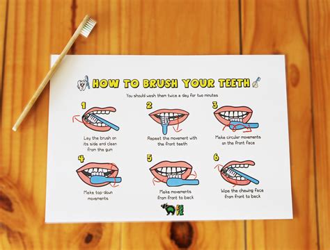 Brushing Your Teeth Instructions at Benjamin Hutchison blog