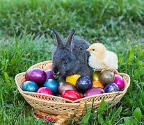 Image result for Easter Bunny and Chicken