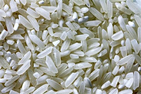 What Should You Do If Your Dog Ate Uncooked Rice?