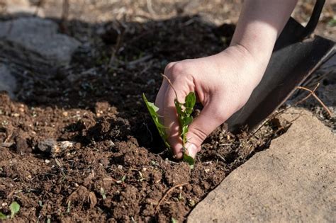 Image result for Data Visualization Framework Python