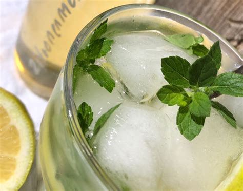 Zitronenmelissen-Sirup selber machen