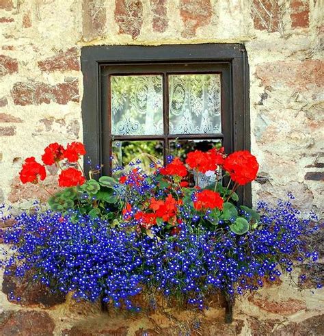 Flower Window Box