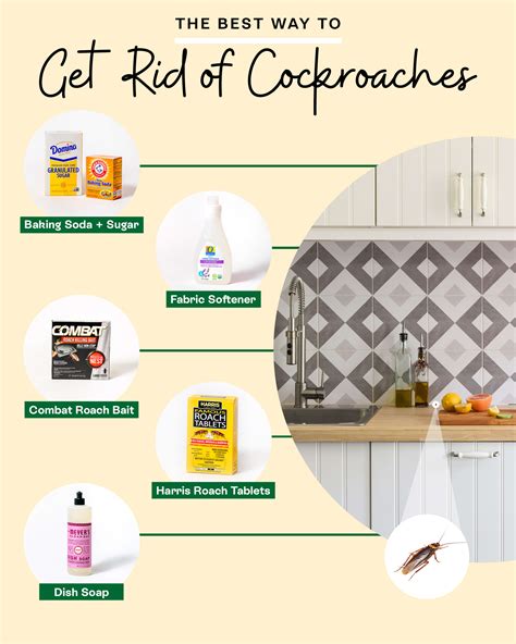6 Foolproof Ways To Eliminate Cockroaches For Good