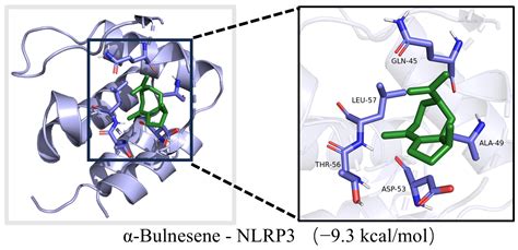 The Anti-Inflammatory Effects and Molecular Mechanism of Citri ...