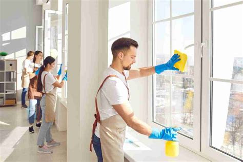 Image result for Window Cleaning Methods
