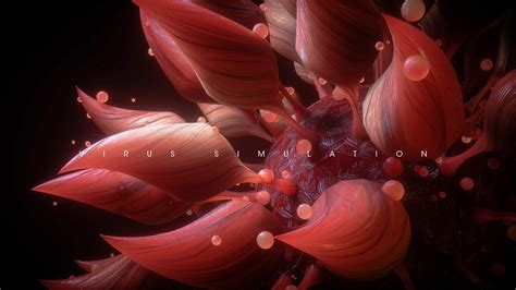 Computer Viruses Simulation 的图像结果