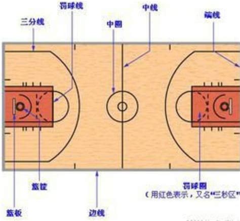 篮球全场开球站位图解-图库-五毛网