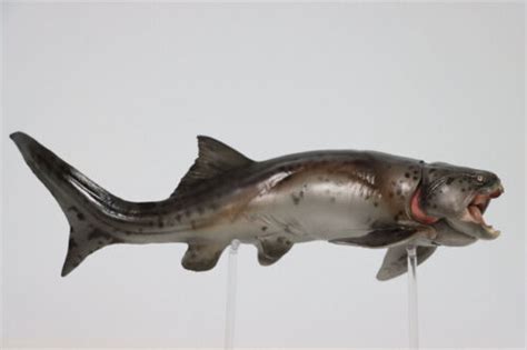 Buy PNSO Dunkleosteus Zaha Model Prehistoric Dinosaur Figure Animal ...