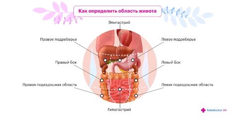 Болит живот — признаки, симптомы, обострение, лечение боли в животе у ...