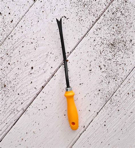 Single Prong Weeder With PVC Handle – Ugaoo