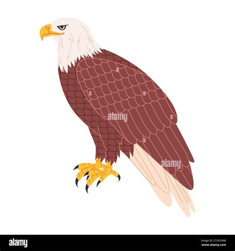 Bald Eagle Brown Color