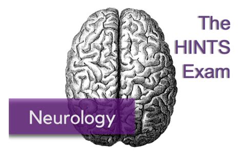 Image result for Hints Test Examples