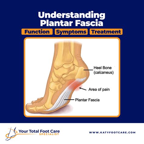 Understanding Plantar Fascia | Symptoms, Causes, and Treatment