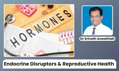 Endocrine Disruptors and Their Impact on Reproductive Health - Dr ...
