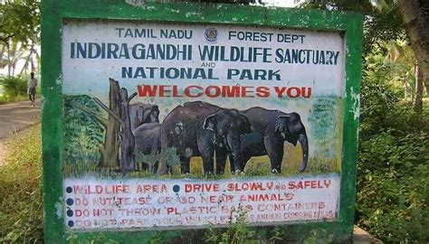 25 Best Wildlife Sanctuaries In India For Your Next 2025 Safari!
