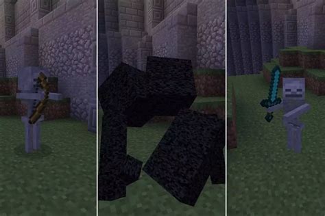 Image result for How to Install Morph Mod